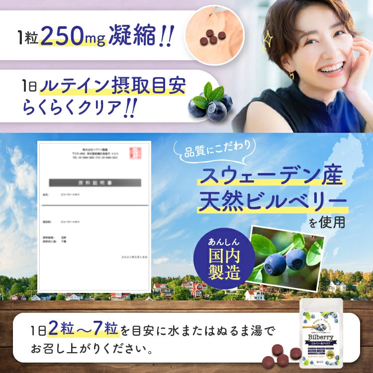 【 ビルベリー美アイケア 360粒 3カ月分 】 野草 無農薬 天然ビルベリー&ルテイン スウェーデン産ビルベリー