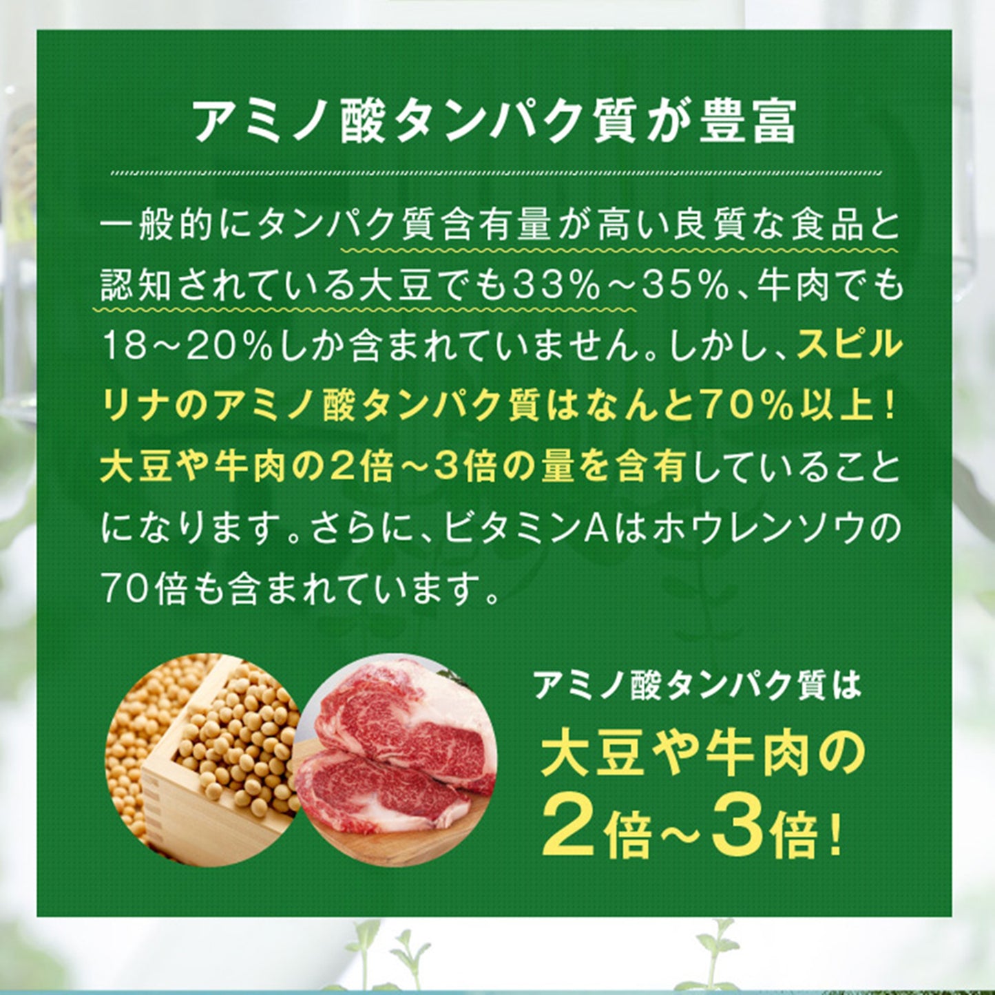 【 キングスピルリナex 1か月分 500粒 】無農薬スピルリナ100%使用 TQF認証
