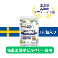 【 ビルベリー美アイケア 120粒1か月分 】野草 無農薬ビルベリー使用 天然ビルベリー&ルテイン スウェーデン産