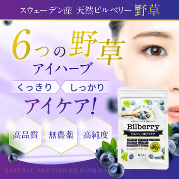 【 ビルベリー美アイケア 360粒 3カ月分 】　野草 無農薬 天然ビルベリー&ルテイン スウェーデン産ビルベリー