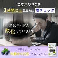 【 ビルベリー美アイケア 120粒1か月分 】野草 無農薬ビルベリー使用 天然ビルベリー&ルテイン スウェーデン産
