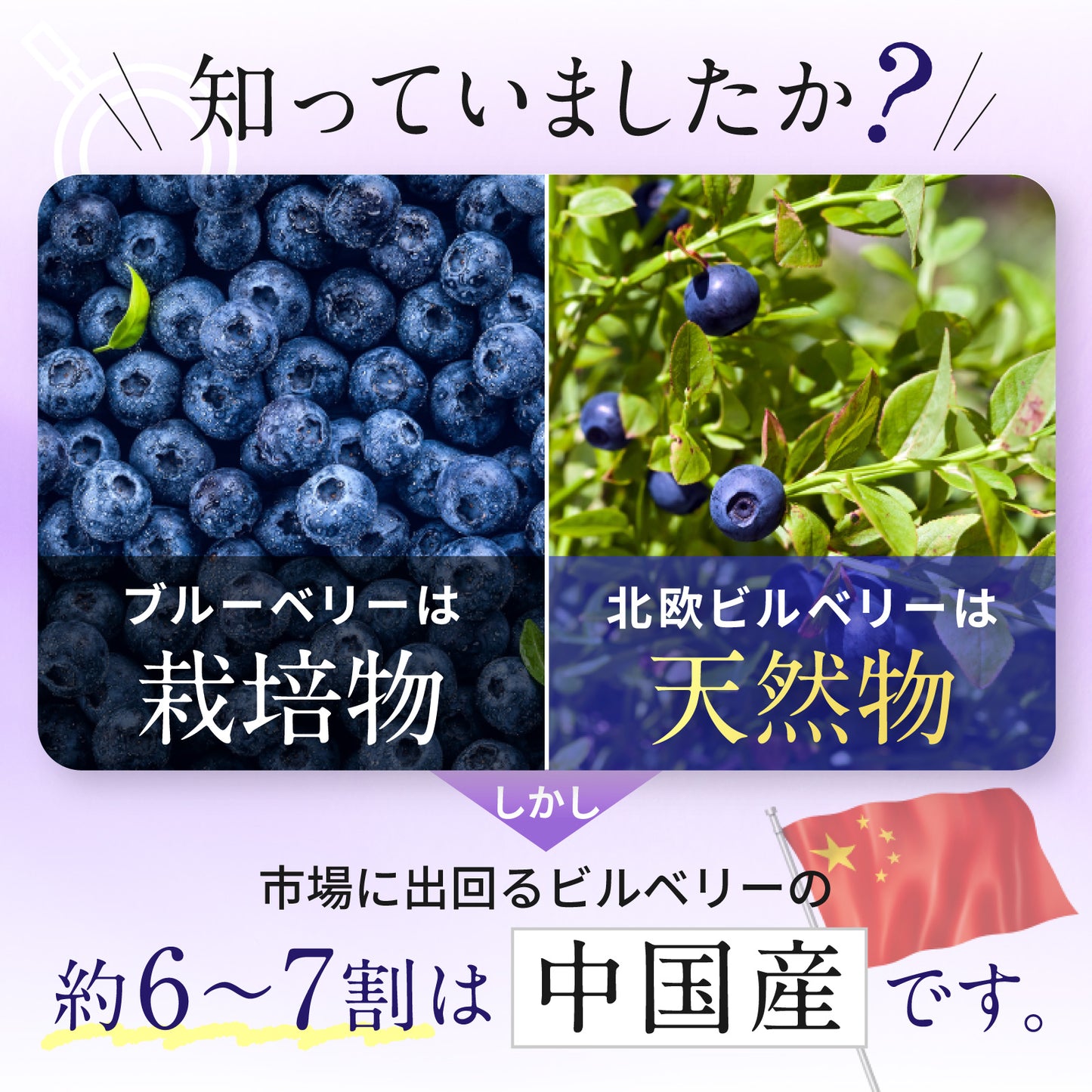 【 ビルベリー美アイケア 120粒1か月分 】野草 無農薬ビルベリー使用 天然ビルベリー&ルテイン スウェーデン産