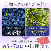 【 ビルベリー美アイケア 120粒1か月分 】野草 無農薬ビルベリー使用 天然ビルベリー&ルテイン スウェーデン産
