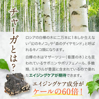 【 チャーガクイーン 1-2カ月分 200粒 】天然シベリア産チャーガ 1粒 205mg 100%