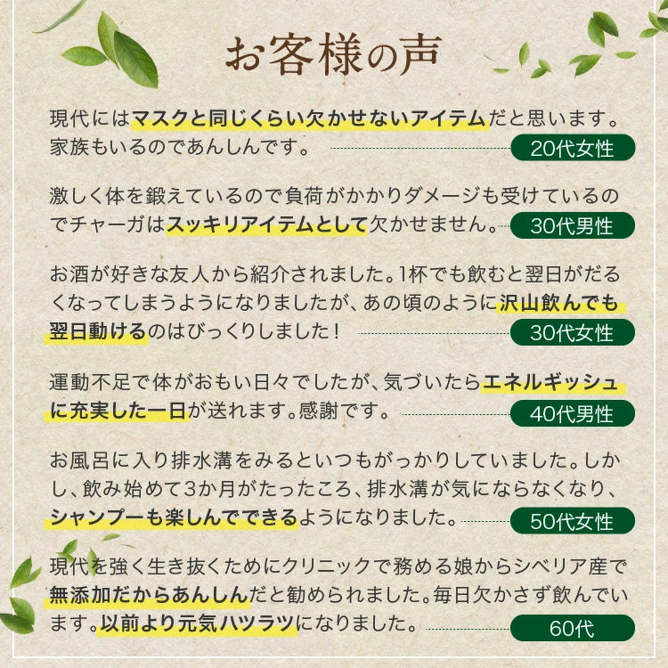 【 チャーガクイーン 1-2カ月分 200粒 】天然シベリア産チャーガ 1粒 205mg 100%