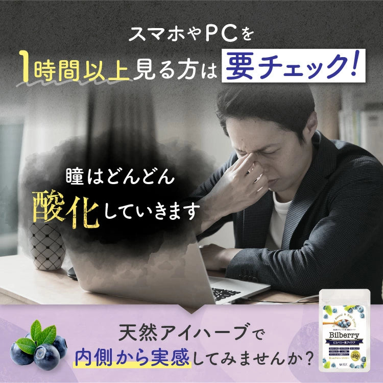 【 ビルベリー美アイケア 120粒1か月分 】野草 無農薬ビルベリー使用 天然ビルベリー&ルテイン スウェーデン産