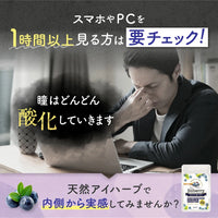 【 ビルベリー美アイケア 120粒1か月分 】野草 無農薬ビルベリー使用 天然ビルベリー&ルテイン スウェーデン産