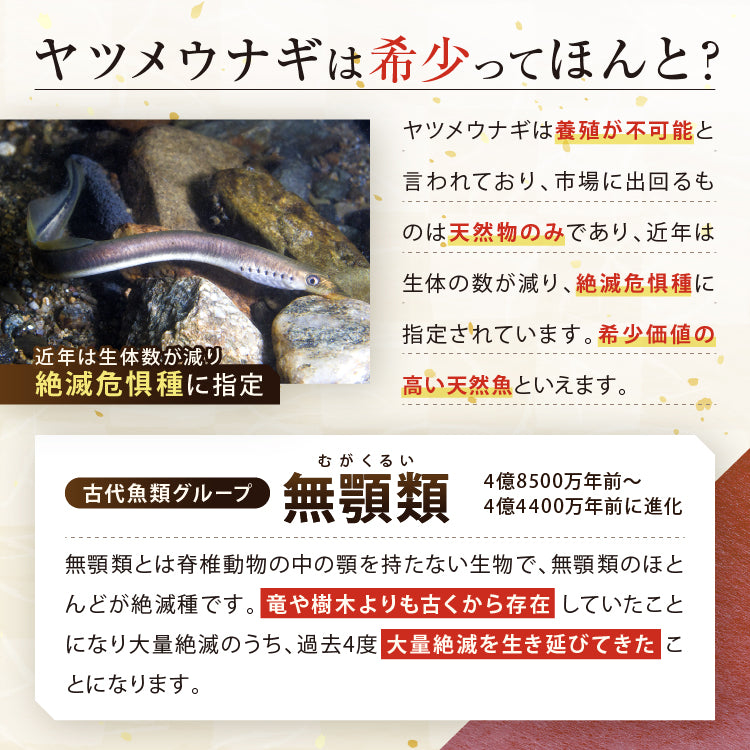 【 八つ目うなぎパーフェクト肝油 120粒1か月分 】ヤツメウナギ サプリメント