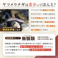 【 八つ目うなぎパーフェクト肝油 120粒1か月分 】ヤツメウナギ サプリメント