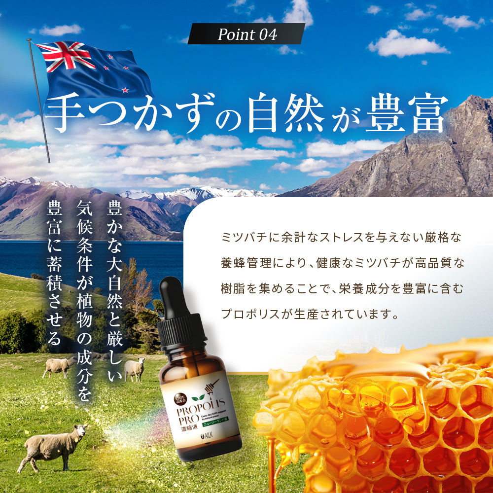プロポリスPRO濃縮液 30ml | 無農薬 高品質 ニュージーランド産 プロポリス 原液 液体 【高濃度 フラボノイド CAPE ピノセンブリン 配合】